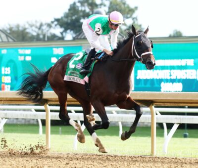 Idiomatic, horse, Juddmonte Farms, Juddmonte Spinster Stakes, domingo, 8 de octubre de 2023, Keeneland. Foto: Coady Photography