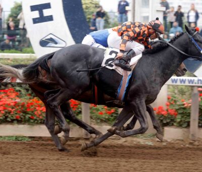 Kosaco, horse, Constitution, Clásico Luis Vera Calderón y Luis Vera Giannini, sábado, 21 de octubre de 2023, Hipódromo Chile. Foto: Jaime Cortés