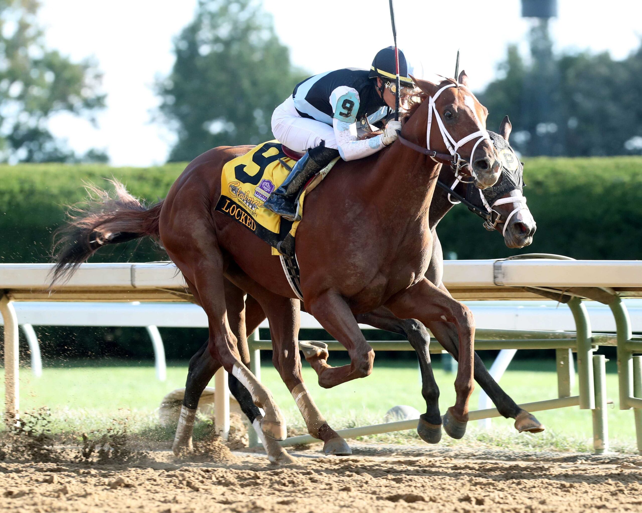Locked, horses, Gun Runner, Breeders Futurity, sábado, 7 de octubre de 2023, Keeneland. Foto: Coady Photography