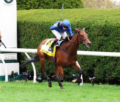 Mawj, horse, Godolphin, Sycamore Stakes, sábado, 14 de octubre de 2023, Keeneland. Foto: Coady Photography