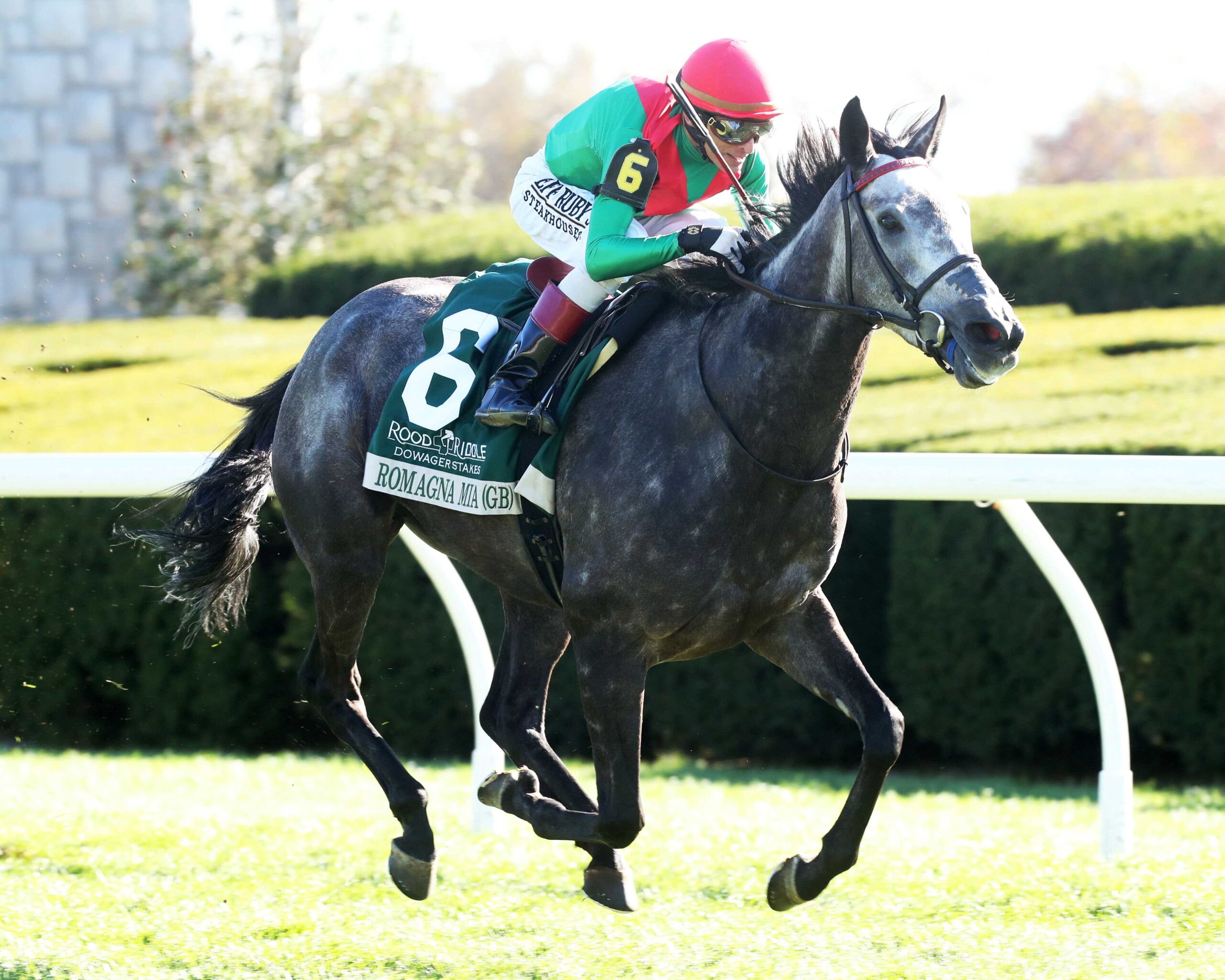 Romagna Mía, horse, Team Valor International , Rood and Riddle Dowager Stakes, domingo, 23 de octubre de 2023, Keeneland. Foto: Coady Photography