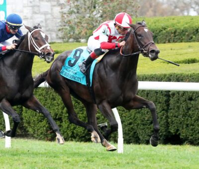 Surge Capacity, horse, Klaravich Stables, Bank Of America Valley View Stakes, viernes, 27 de octubre de 2023, Keeneland. Foto: Coady Photography