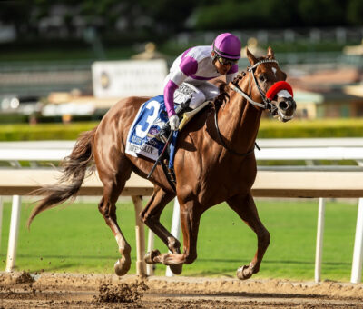 Slow Down Andy, Horses, Nyquist, Awesome Again Stakes, sábado, 30 de septiembre de 2023, Santa Anita Park. Foto: Benoit Photo