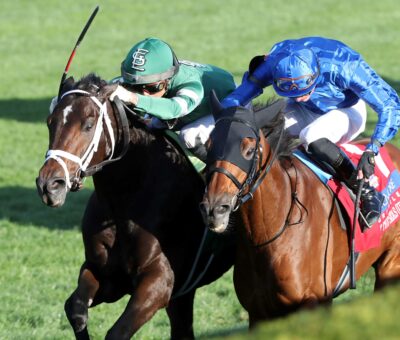 Up To The Mark, horse, Repole Stable, Coolmore Mile Stakes, sábado, 7 de octubre de 2023, Keeneland. Foto: Coady Photography
