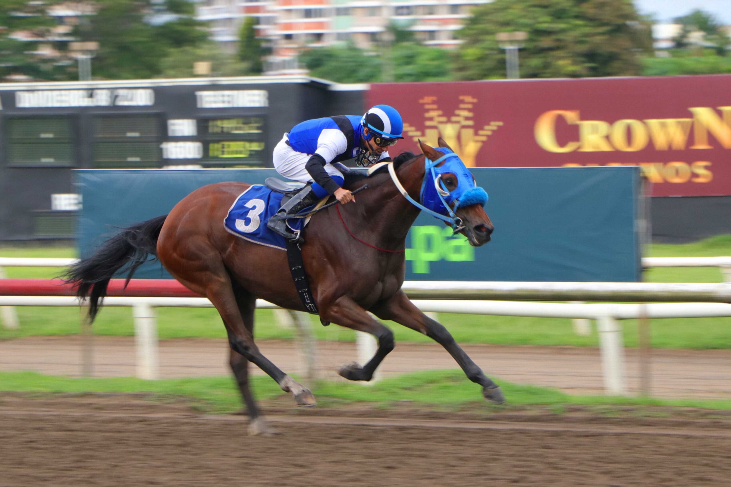 Xtina, horse, Karakontie, Clásico Ricardo Lau Yunsan, sábado, 14 de octubre de 2023, Presidente Remón. Foto: Erick Ruiz Prensa CODERE Panamá