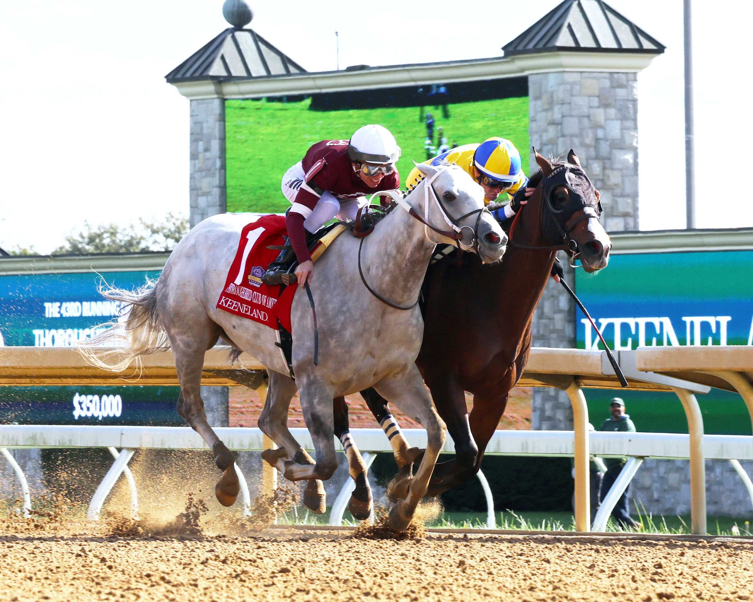 Yuugiri, horse, Shackleford, Thoroughbred Club America, sábado, 7 de octubre de 2023, Keeneland. Foto: Coady Photography