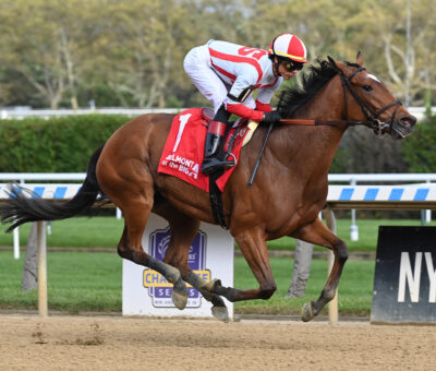 Gerrymander, horse, Into Mischief, Noble Damsel Stakes, domingo, 8 de octubre de 2023, Belmont At The Big A. Foto: Coglaniese Photo