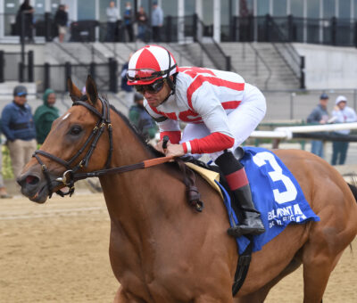 Randomized, horse, Nyquist, Beldame Stakes, domingo, 8 de octubre de 2023, Aqueduct. Foto: Coglaniese Photo & Chelsea Durand