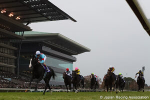 Equinox, horse, Northern Farm, Japan Cup, domingo, 26 de noviembre de 2023, Tokyo Racecourse. Foto JRA