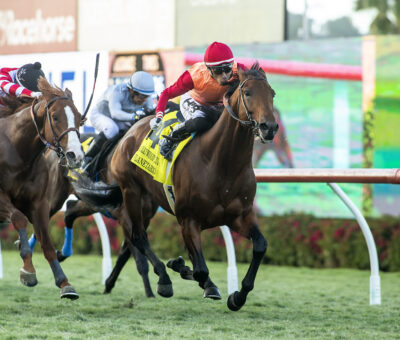 Planetario, Horses, Il Doge (BRZ), Hollywood Turf Cup Stakes, viernes, 24 de noviembre de 2023, Del Mar. Foto: Benoit Photo
