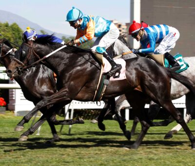 Vamos Por Más, horses, Haras Viejo Perro, Clásico ACHVE, lunes, 20 de noviembre de 2023, Club Hípico de Santiago. Foto: Jaime Cortés