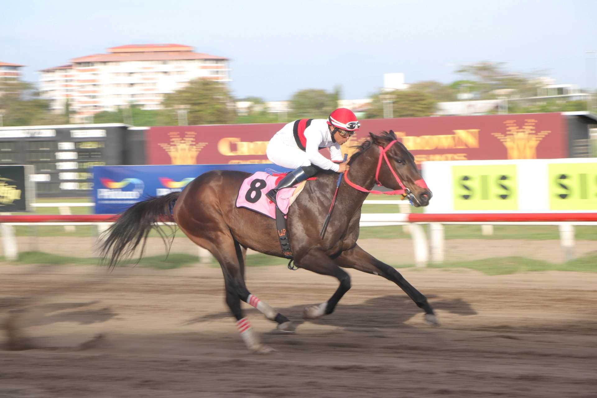 Cyrano, horse, Dublin, Clásico Navidad, viernes, 23 de diciembre de 2023, Presidente Remón. Foto: Erick Ruiz Prensa CODERE Panamá
