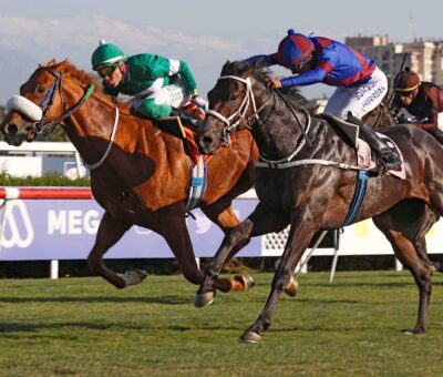 Gigio L´Amico, horse, Haras Don Alberto, Clásico Warrior, viernes, 1 de diciembre de 2023, Club Hípico de Santiago. Foto: Jaime Cortés