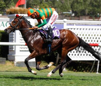 Mister Stress, horse, Mendelssohn, Clásico Debut Potrillos, domingo, 24 de diciembre de 2023, Club Hípico de Santiago. Foto: Jaime Cortés