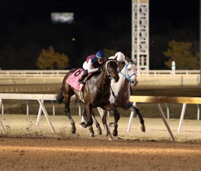 Otto The Conqueror, horse, Street Sense, Remington Springboard Mile Stakes, viernes, 15 de diciembre de 2023, Remington Park. Foto: Dustin Orona