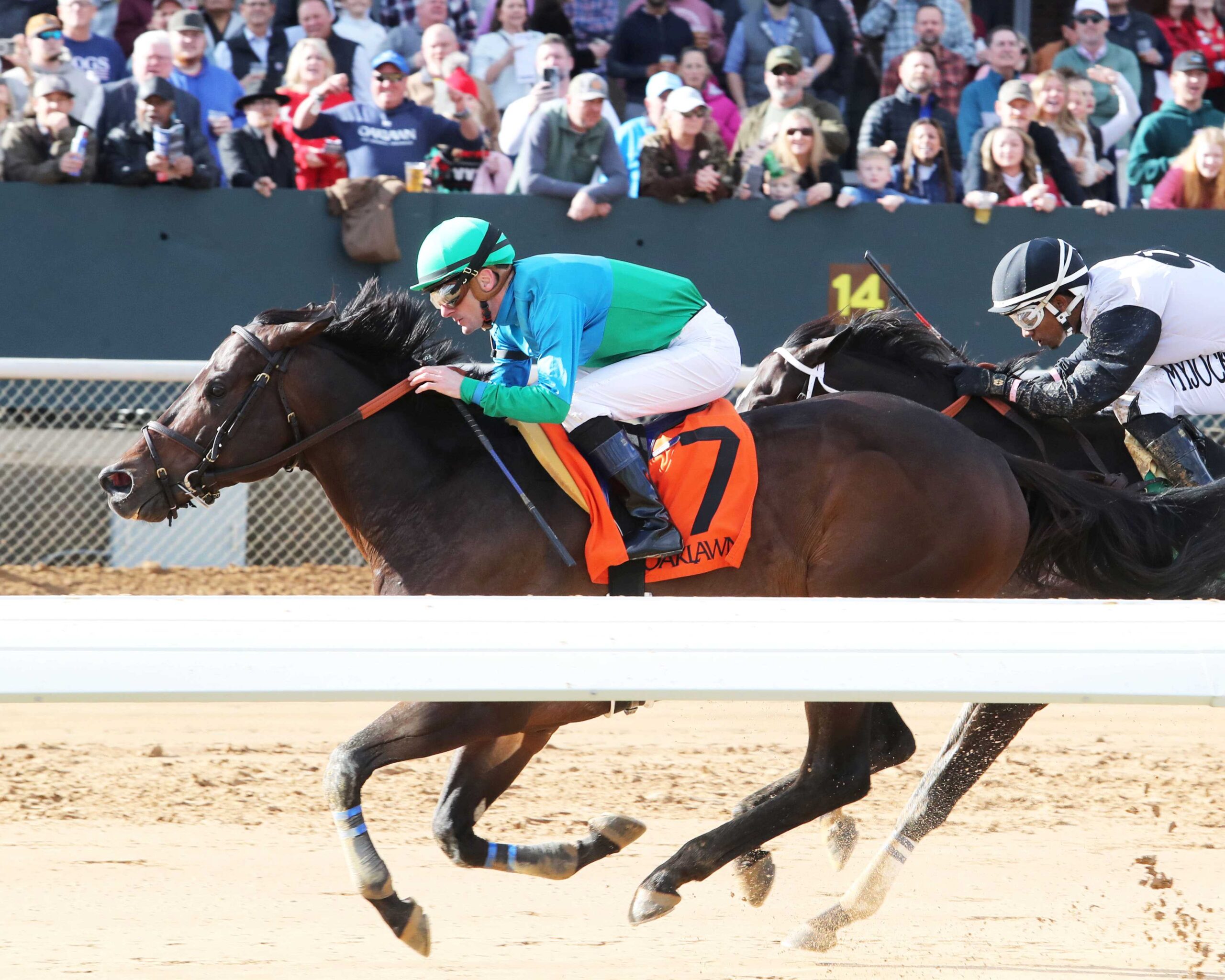 Súper Ocho, horse, Haras Matriarca, Allowance, Oaklawn Park, sábado, 16 de diciembre de 2023. Foto: Coady Photo