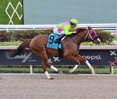 Sibelius, horse, Not This Time, Mr. Prospector Stakes, sábado, 23 de diciembre de 2023, Gulsftream Park. Foto: Coglianese Photo