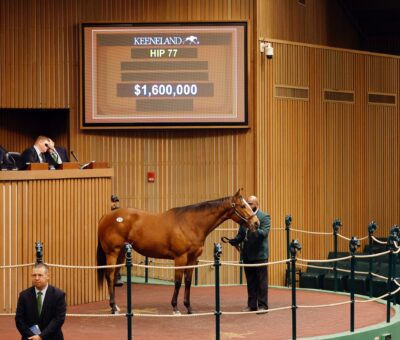Prank, 77, Into Mischief en Callingmissbrown por Pulpit, sesión 1, Keeneland Sales, lunes, 6 de enero de 2024, Keeneland. Foto: Keeneland