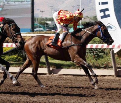 Dreams Joke, horse, Practical Joke, Clásico Tizna, sábado, 20 de enero de 2024, Hipódromo Chile. Foto: Jaime Cortés