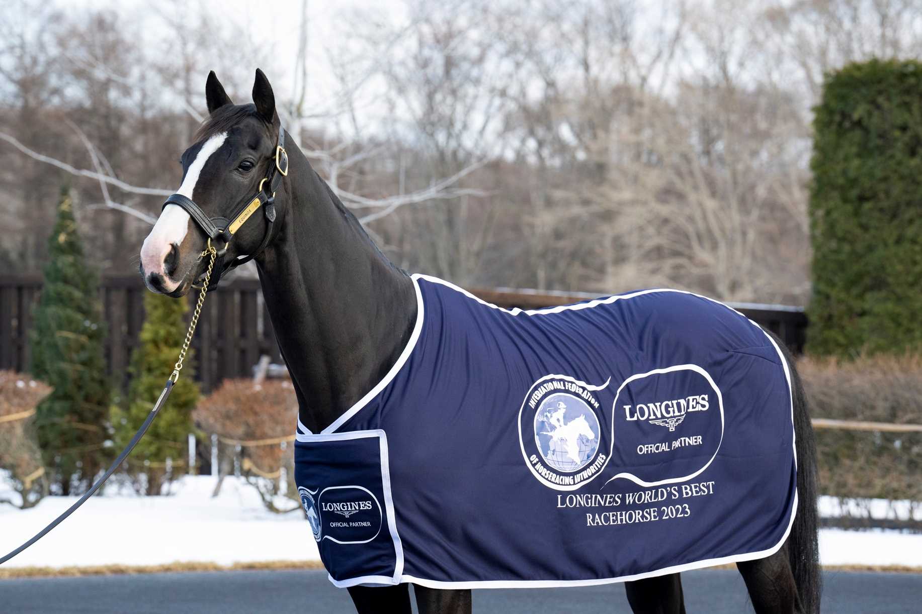 Equinox, horse, Kitasan Black, Longines World Racing Awards 2023, 23 de enero de 2024, Shadai Farm. Foto: J. Fukuda & IFHA
