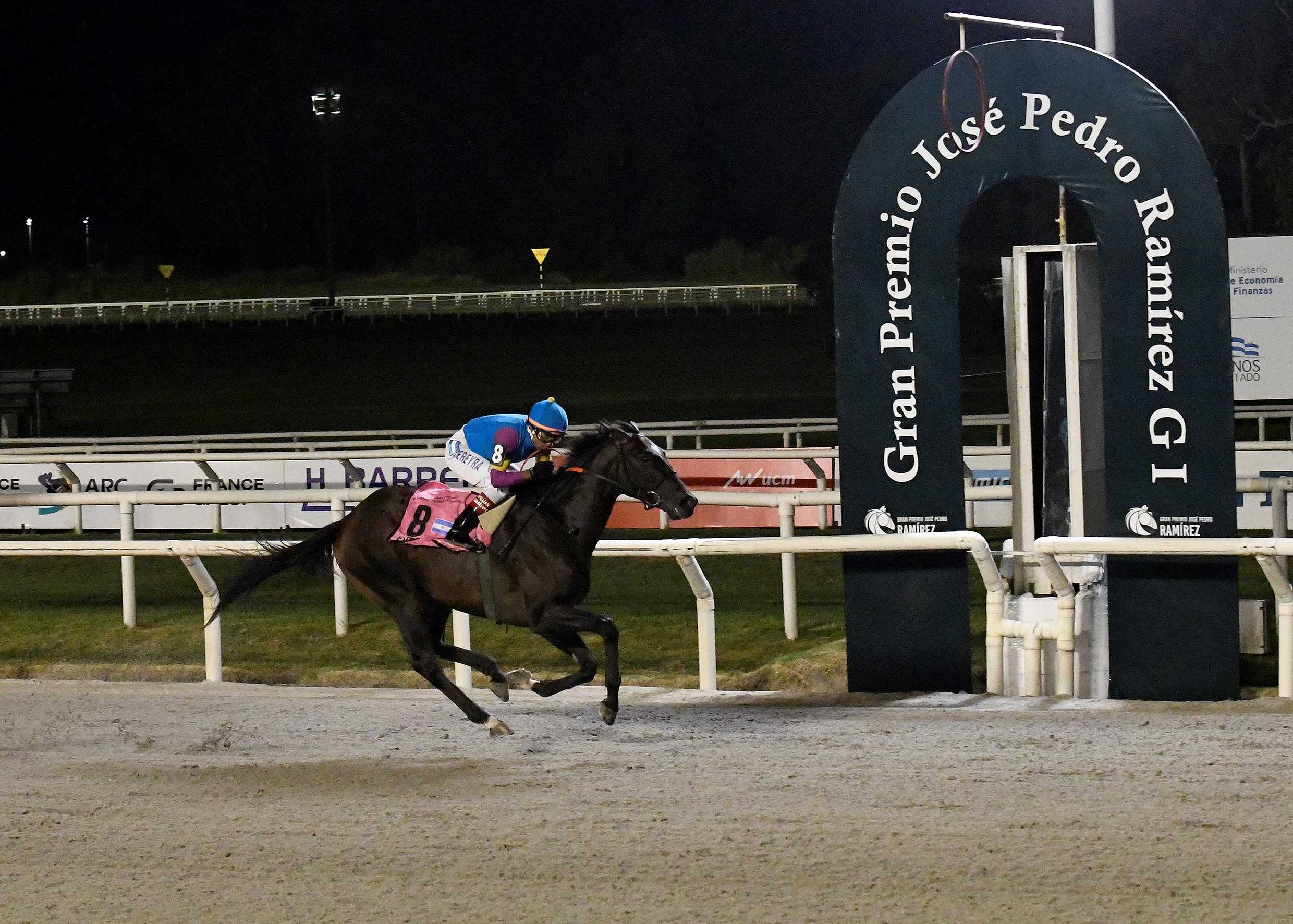 Ever Daddy, horse, Daddy Long Legs, Clásico Gran Premio José Pedro Ramírez, sábado, 6 de enero de 2024, Hipódromo de Maroñas. Foto: Prensa Maroñas