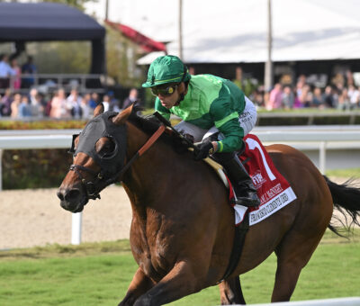 Francesco Clemente, horse, White Birch Farm, William L. McKnight Stakes, sábado, 27 de enero de 2024, Gulsftream Park. Foto: Coglianese Photo