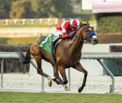 Kings River Knigh, horse, Acclamation, Unusual Heart Turf Classic Stakes, sábado, 13 de enero de 2024, Santa Anita Park. Foto: Benoit Photo