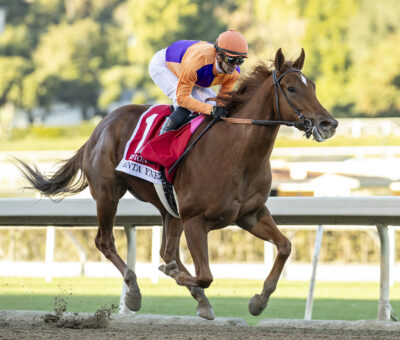 Kopion, Horses, Omaha Beach, Santa Ynez Stakes, domingo, 7 de enero de 2024, Santa Anita Park. Foto: Benoit Photo