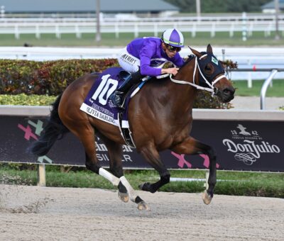 Olivia Darling, horse, Palace, Inside Information Stakes, sábado, 27 de enero de 2024, Gulsftream Park. Foto: Coglianese Photo