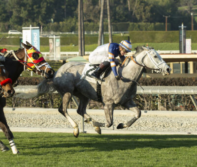 Rose Maddox, horse, Grazen, Sunshine Millions Filly and Mare Turf Stakes, sábado, 13 de enero de 2024, Santa Anita Park. Foto: Benoit Photo