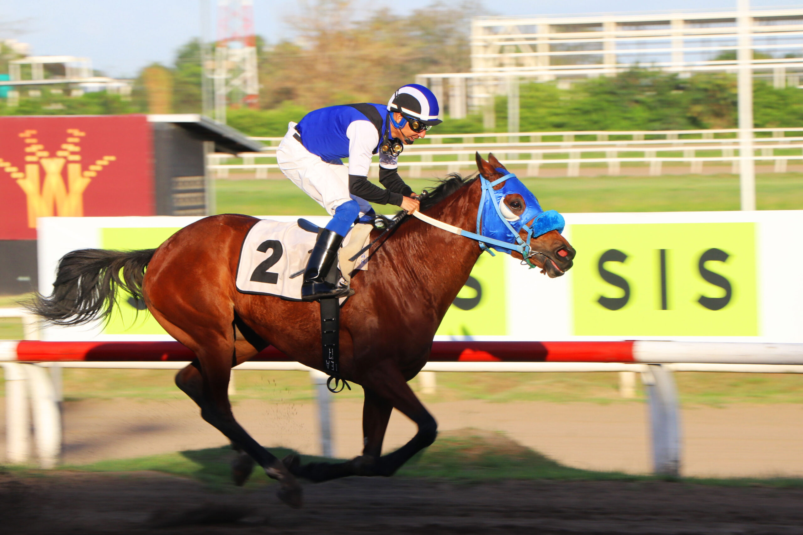 Xtina, horse, Karakontie, Clásico Año Nuevo, domingo, 7 de enero de 2024, Presidente Remón. Foto: Erick Ruiz Prensa CODERE Panamá