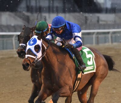 Comparative, horse, Street Sense, Ladies Stakes, sábado, 6 de enero de 2024, Aqueduct. Foto: Coglaniese Photo & Chelsea Durand