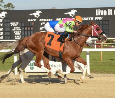 Sibelius, horse, Pollock Farms, Pelicans Stakes, sábado, 10 de febrero de 2024, Tampa Bay Downs. Foto: Coglianese Photo