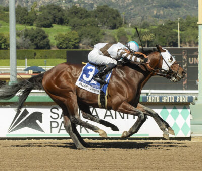 Big City Lights, Horses, Mr. Big, Palo Verdes Stakes, sábado, 10 de febrero de 2024, Santa Anita Park. Foto: Benoit Photo