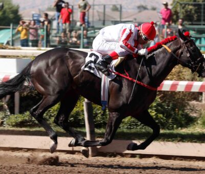 Black Knight, horse, Haras Don Alberto, Clásico Cremcaramel, sábado, 3 de febrero de 2024, Hipódromo Chile. Foto: Jaime Cortés