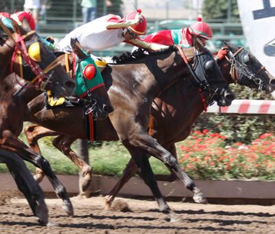 Chica Voladora, horse, Timojin, Clásico Próvita, sábado, 17 de febrero de 2024, Hipódromo de Chile. Foto: Jaime Cortés