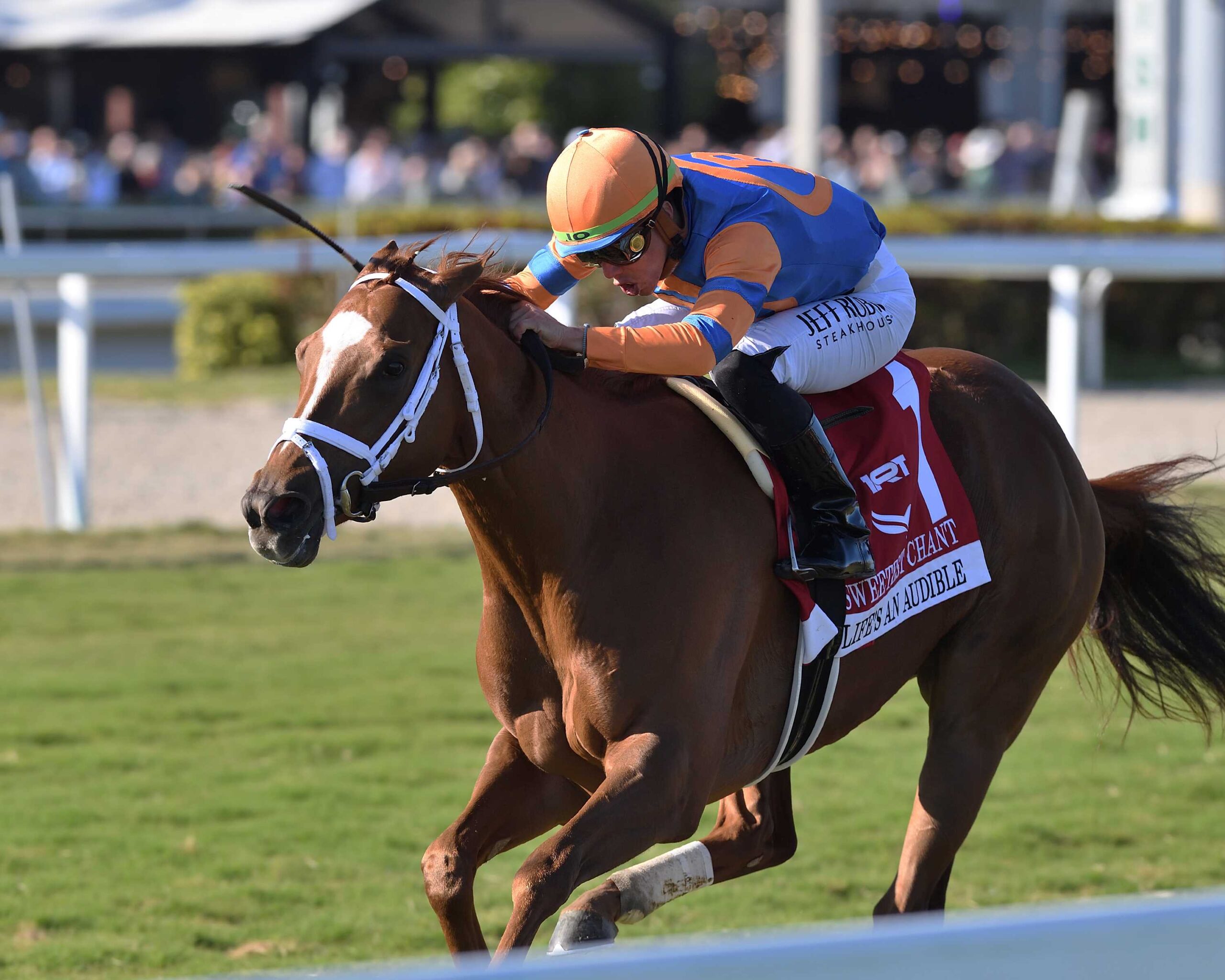 Life´s An Audible, horse, Repole Stable, Sweetest Chant Stakes, sábado, 3 de febrero de 2024, Gulsftream Park. Foto: Coglianese Photo