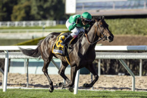 Linda´s Gift, Horses, Arrogate, Santa Ana Stakes, sábado, 24 de febrero de 2024, Santa Anita Park. Foto: Benoit Photo