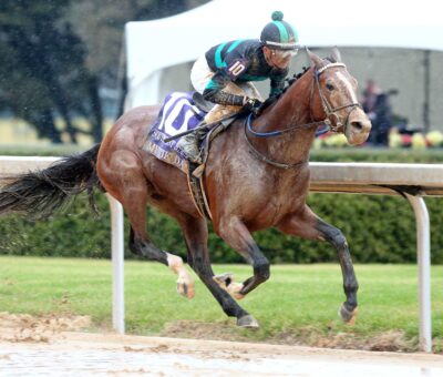 Mystik Dan, horse, Goldencents, Southwest Stakes, sábado, 3 de febrero de 2024, Oaklawn Park. Foto: Coady Photo