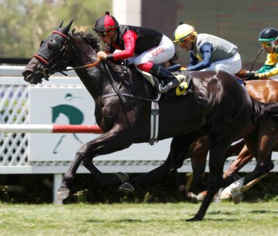 Signore Pio, horse, Haras Santa Amelia, Clásico Maporal, viernes, 2 de febrero de 2024, Club Hípico de Santiago. Foto: Jaime Cortés