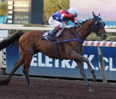 Ya Llegué, horse, Ocean Terrence, Clásico Orégano, jueves, 1 de febrero de 2024, Hipódromo Chile. Foto: Jaime Cortés