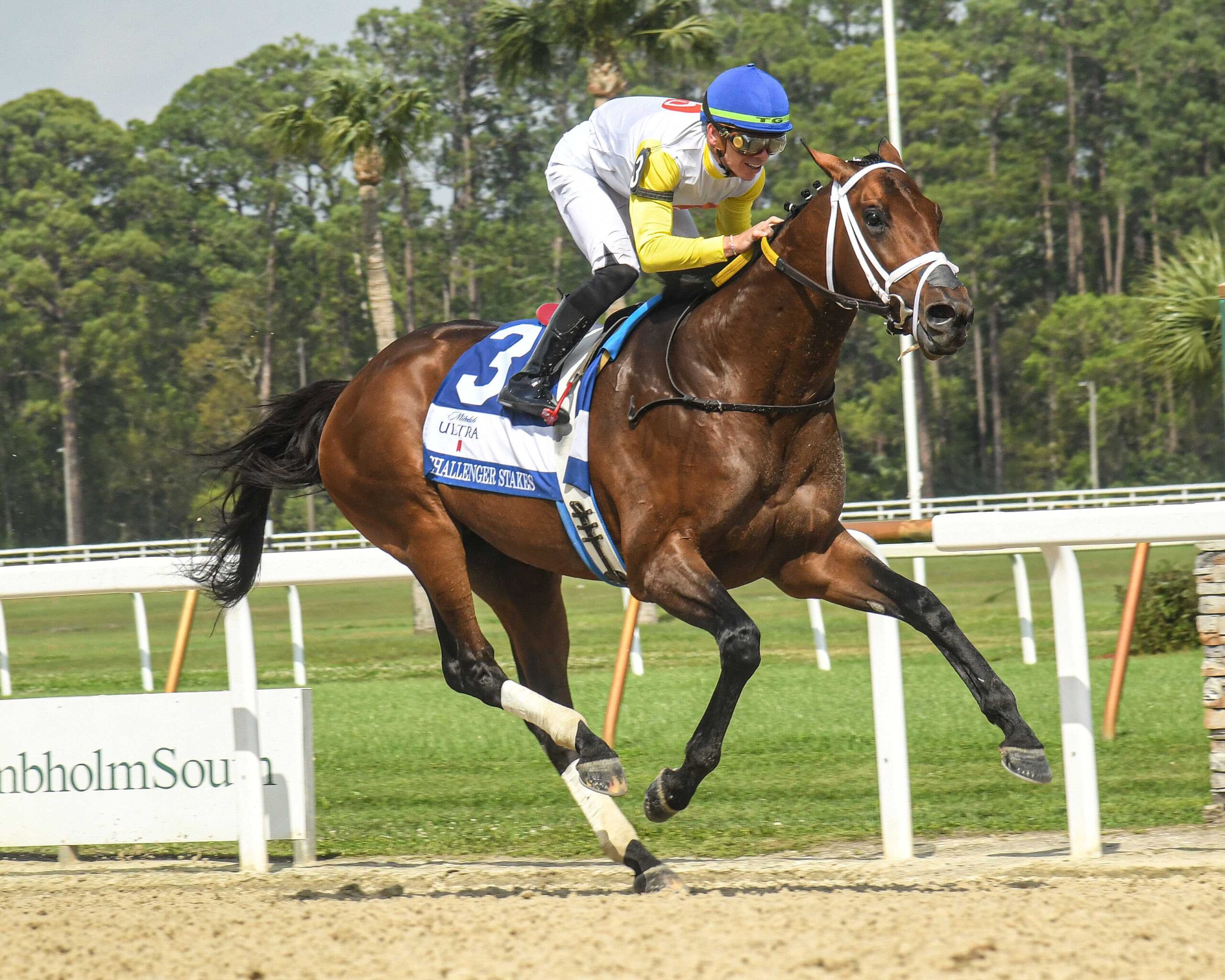 Skippylongstocking, horse, Exaggerator, Michelob Ultra Challenger, sábado, 9 de marzo de 2024, Tampa Bay Downs. Foto: SV Photography