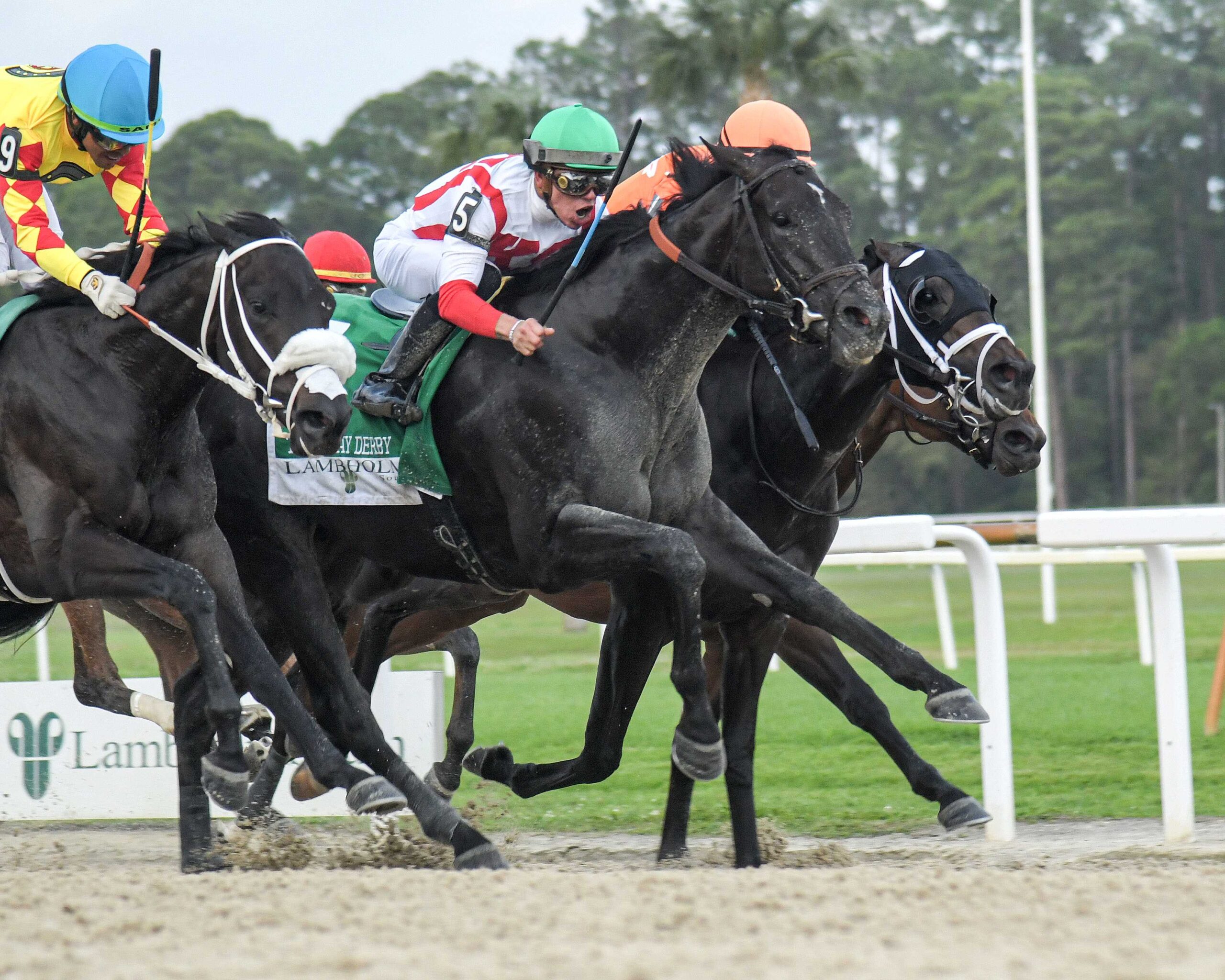 Domestic Product, horse, Practical Joke, Tampa Bay Derby, sábado, 9 de marzo de 2024 Tampa Bay Downs Foto: SV Photography