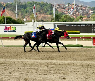 El De Froix, horse, Haras La Orlyana, Clásico José María Vargas, domingo, 17 de marzo de 2024, La Rinconada. Foto José Antonio Aray