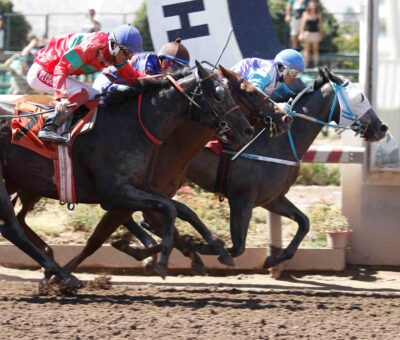 Indy War, horse, Indy Dancer, Clásico Selección de Potrancas, sábado, 4 de marzo de 2024, Hipódromo Chile. Foto: Jaime Cortés