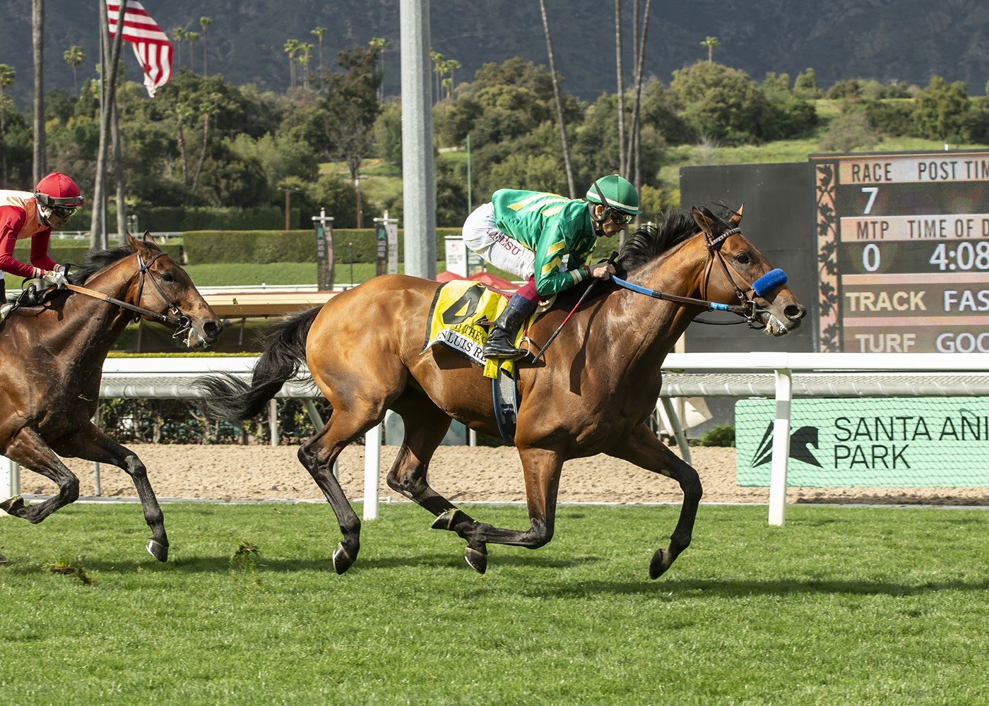 Missed The Cut, Horses, Quality Road, San Luis Rey Stakes, sábado, 23 de marzo de 2024, Santa Anita Park. Foto: Benoit Photo