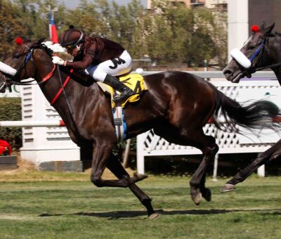 Pantonne, horse, Haras Don Alberto, Coronación Pablo Baroana Urzua, viernes, 22 de marzo de 2024, Club Hípico de Santiago. Foto: Jaime Cortés