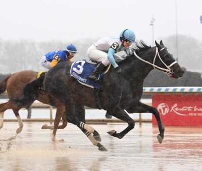 Súper Chow, horse, Spendthrift Farm, Tom Fool Stakes, sábado, 2 de marzo de 2024, Aqueduct. Foto: Coglaniese Photo & Susie Raisher