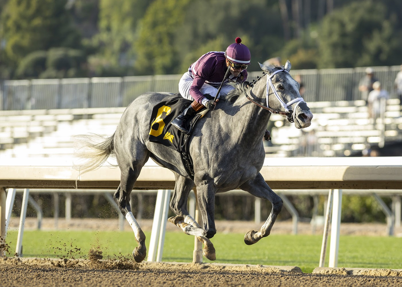 Sweet Azteca, Horses, Pamela C. Ziebarth, Beholder Stokes, sábado, 9 de marzo de 2024, Santa Anita Park. Foto Benoit Photo
