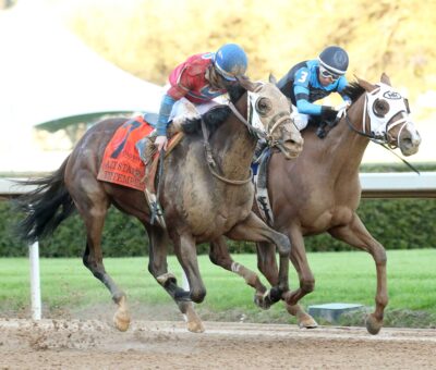 Tiny Temper, horse, Arrogate, Azeri Stakes, sábado, 9 de marzo de 2024, Oaklawn Park. Foto: Coady Photo